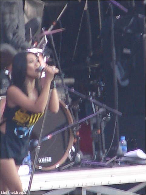 DSC03000.JPG
Johnny Hallyday : Flash Back Tour 2006